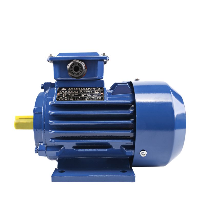 Single Phase Motor