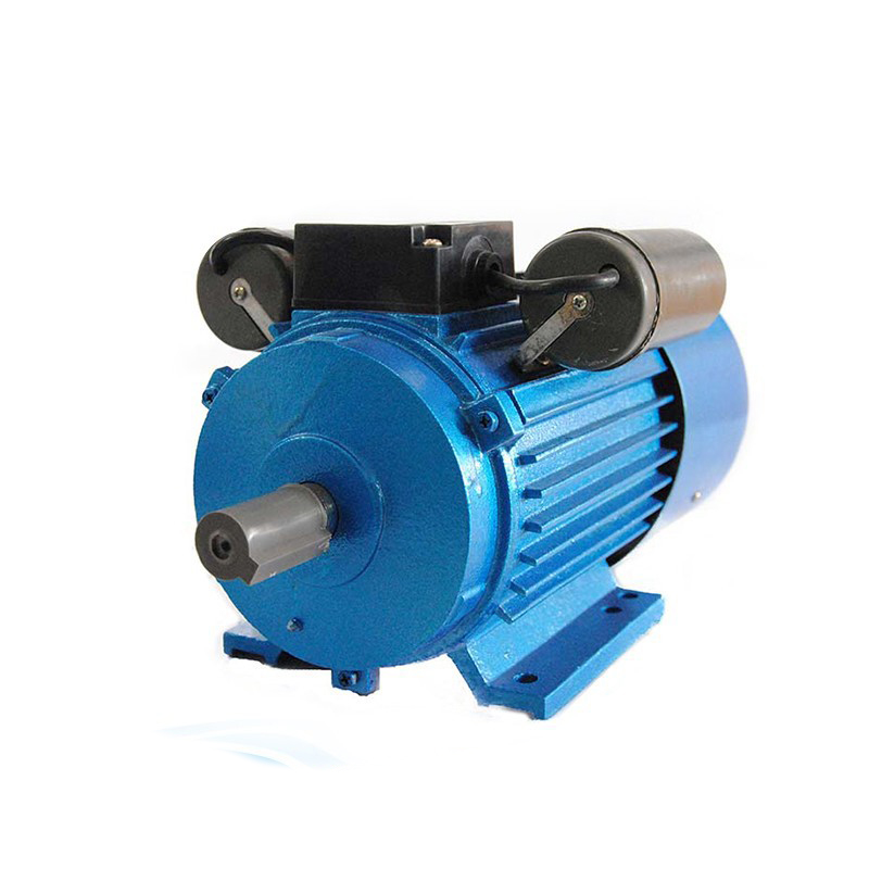 2 Pole single & 3-phase Motor